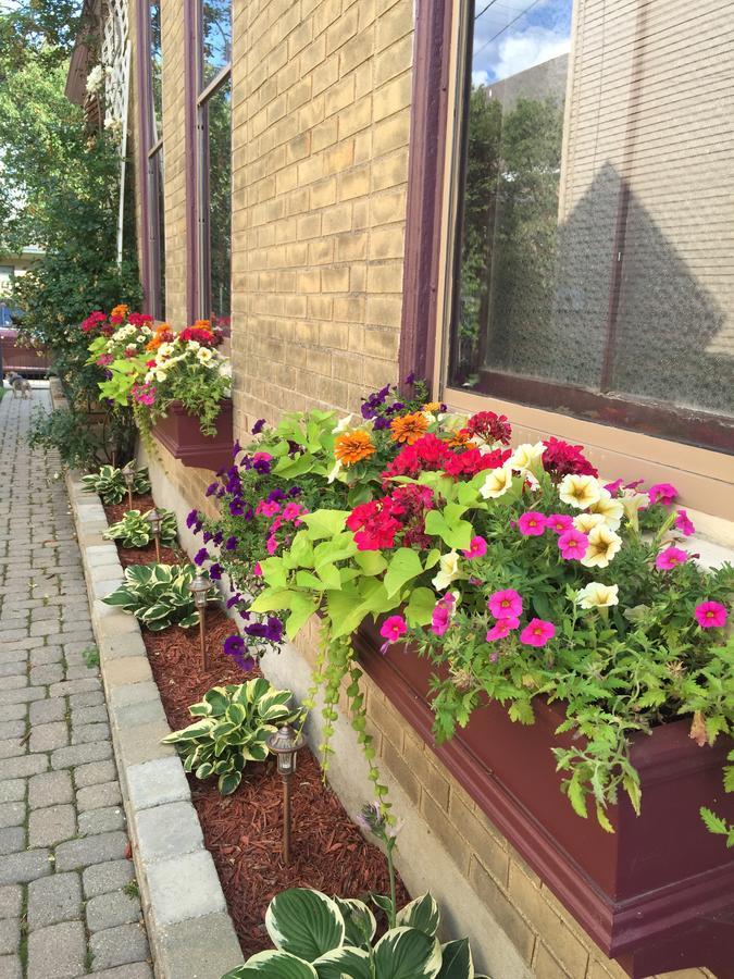 Bed and Breakfast Weller Haus Bed, Breakfast&Event Center Bellevue Exterior foto